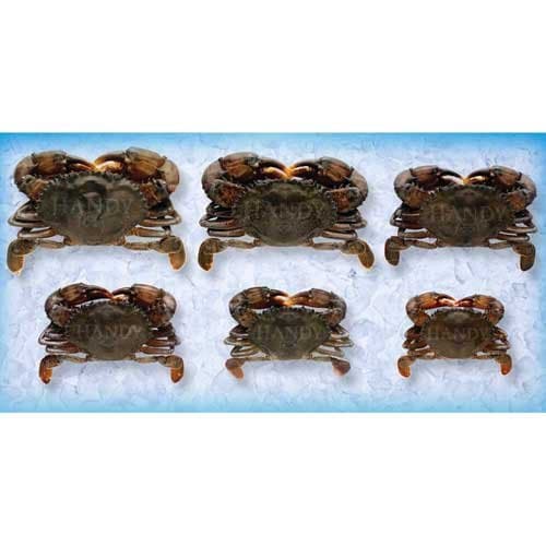 Handy Soft Shell Wild Caught Whale Crab, 4 Ounce -- 36 per case.
