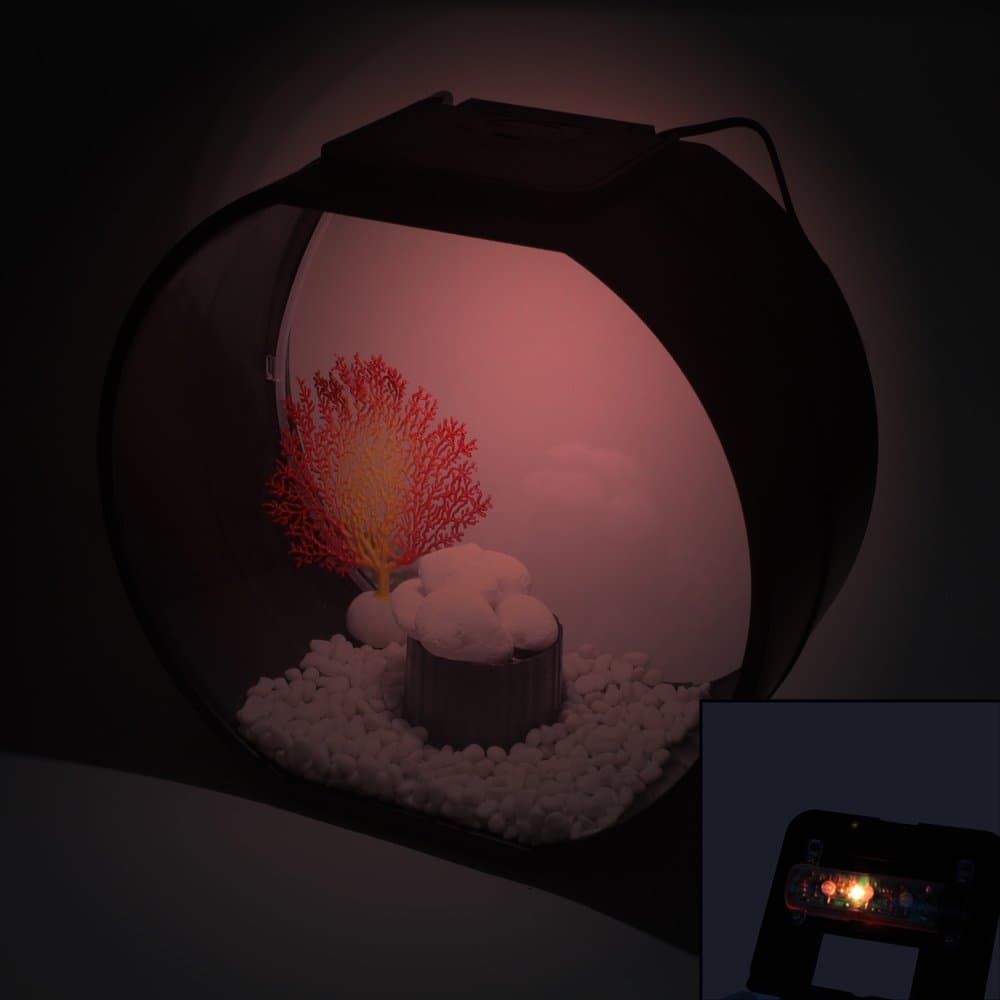 AA Deco O Aquarium, Black