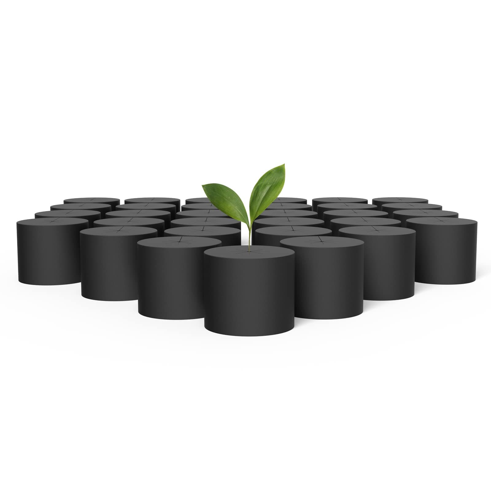 AC Infinity Clone Collar 7cm, Cloner Inserts with 8-Spoke Design, 50-Pack for Use with Net Cups in Hydroponics Growing Systems, Aeroponics, Cloning Machines, and Home Gardening, 3-Inch