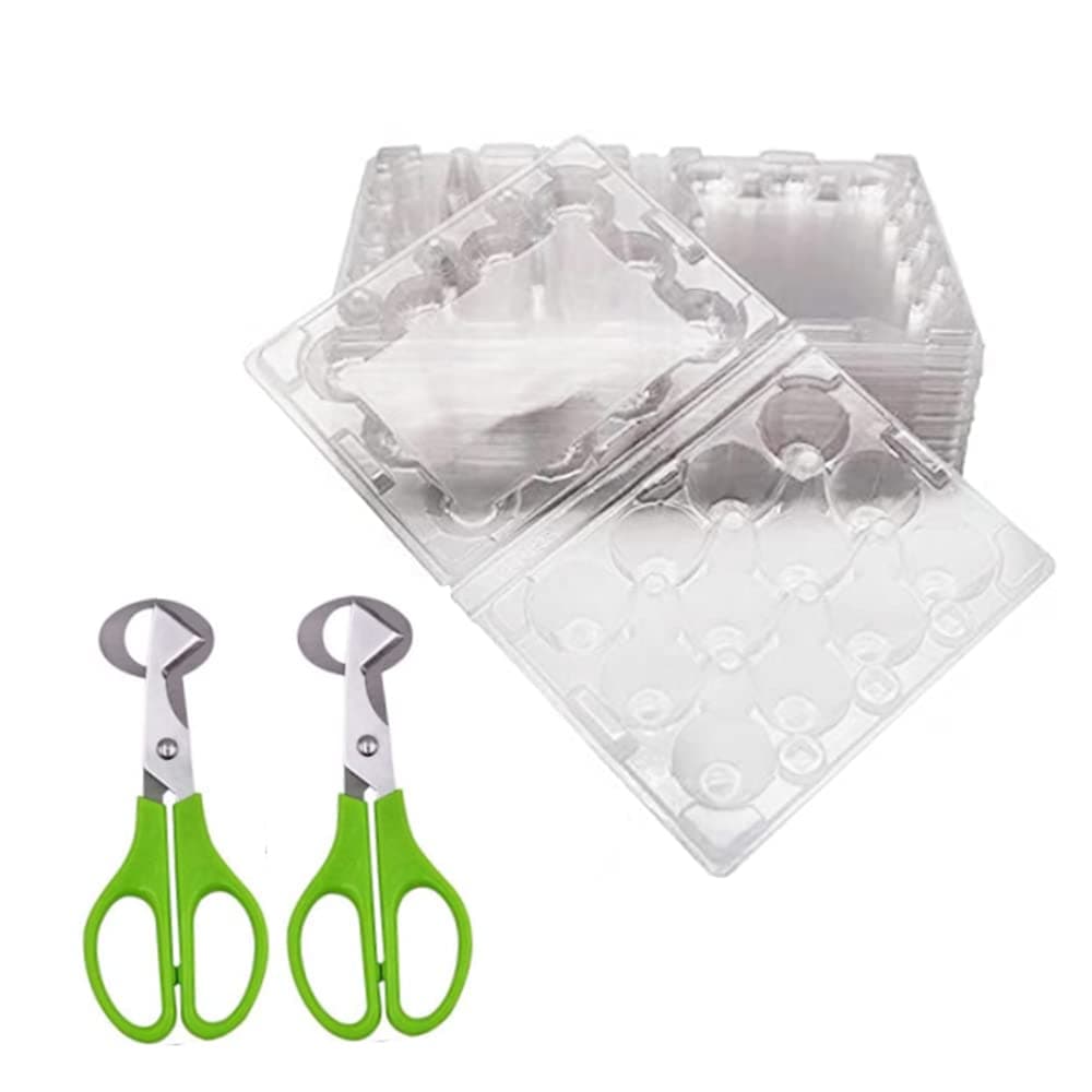 Quail Egg Cartons,12 Grids Small Egg Storage Holders,Quail Eggs Bulk Carton Trays & 2PCS Stainless Steel Cutter