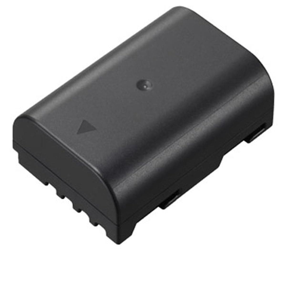 DMW-BLF19 Lithium-Ion Battery Pack (Black)