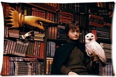 Hipster HARRY POTTER Pillowcase Standard Size Design Cotton 50% & Polyester 50% Pillow Case 16"X24" (Two sides)