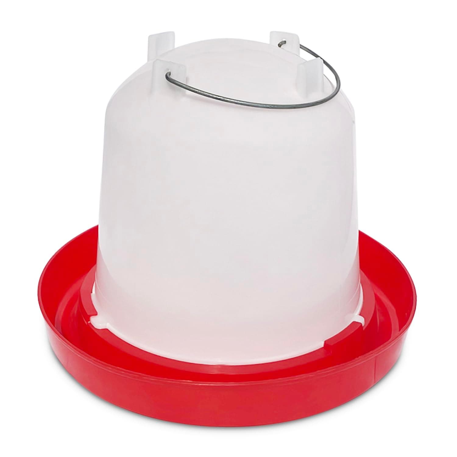 Little Family Members Red 1.5-Gallon Chicken and Poultry Drinker