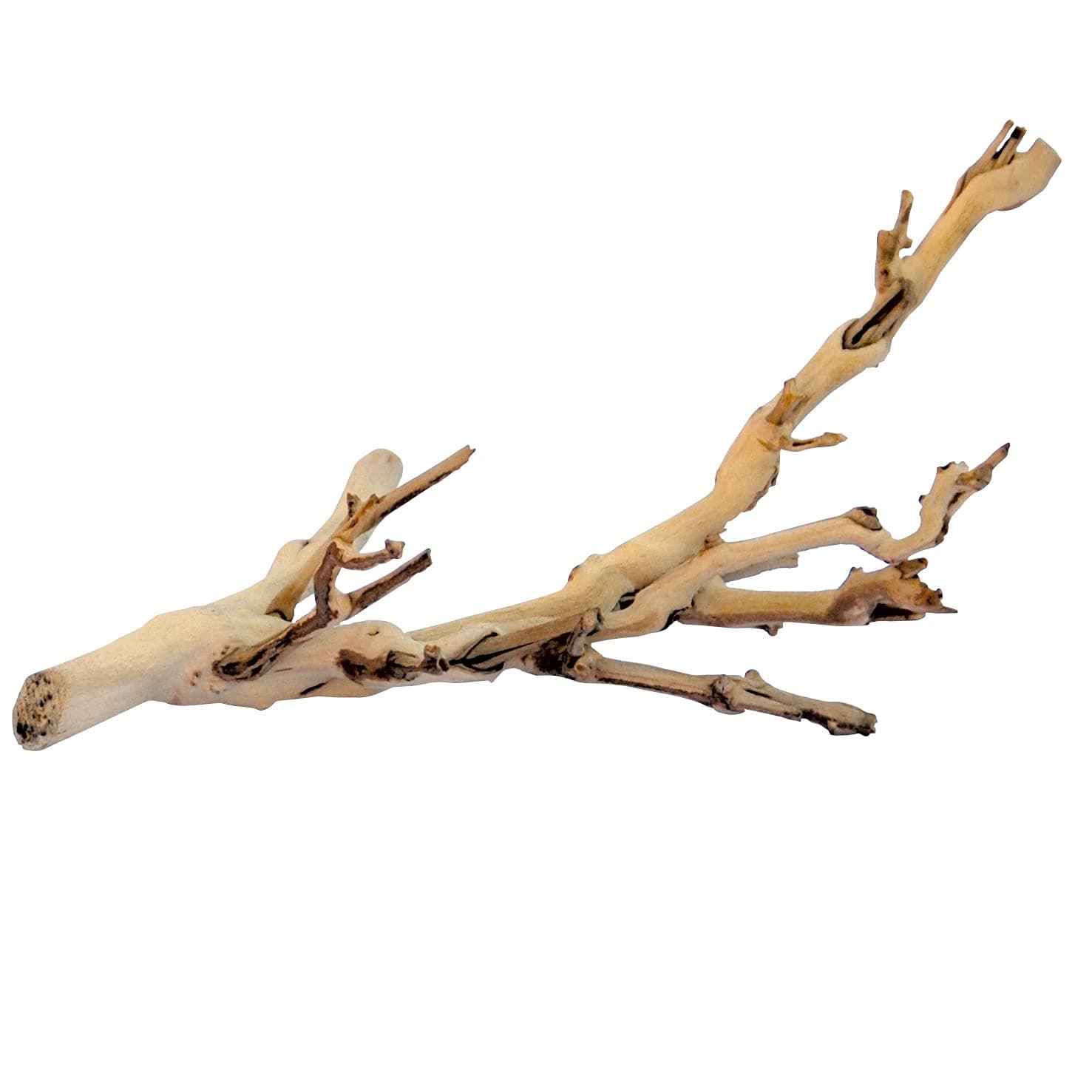 Exo Terra Forest Branch, Small (Exact Size May Vary)