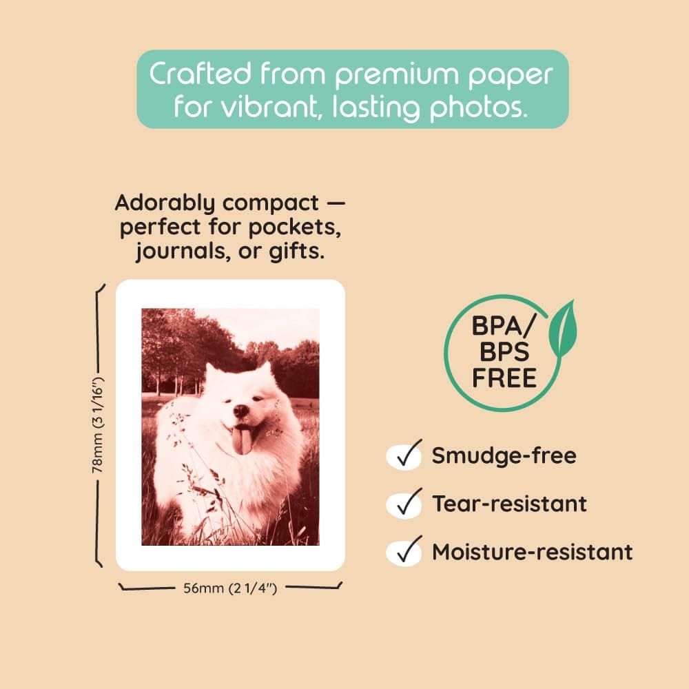 kiimento Print Pack for P2 Instant Print Camera, 40-prints Variety, Ink‑Free Thermal Cards, 78×56 mm Vertical, BPA & BPS Free, 4 Styles (10 Each): Timeless, Golden, Calm, Sweet