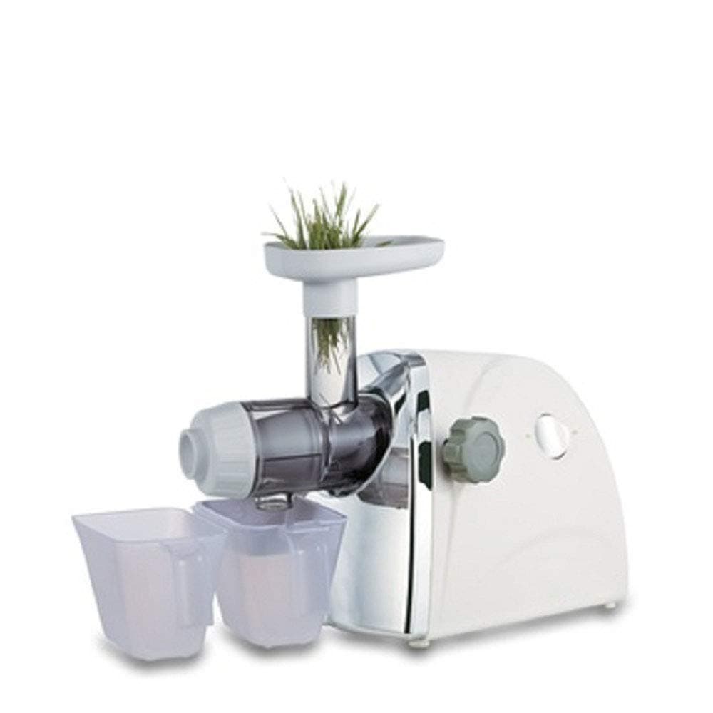 Horizontal Single Auger Slow Masticating Juicer Slow Juicer Masticating Juicer BPA-Free Extract Healthy Nutrition from Fruits and Vegetables