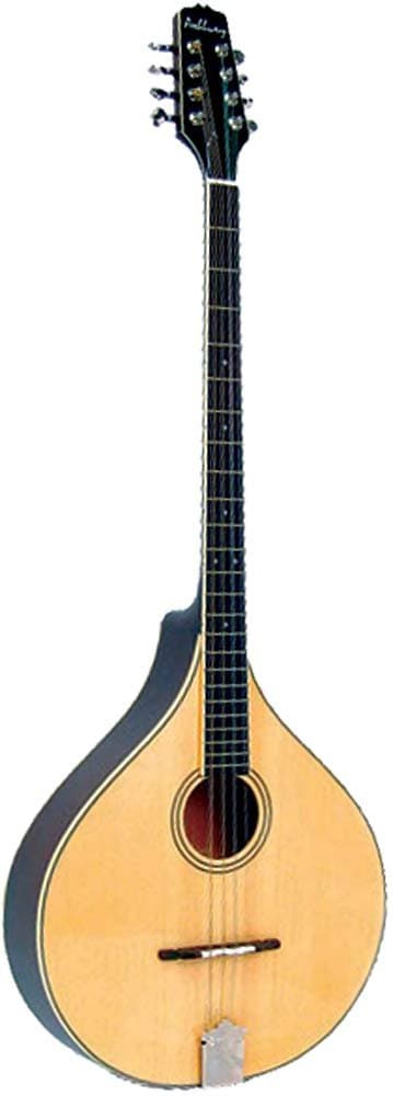 Ashbury AM-375 Irish Bouzouki