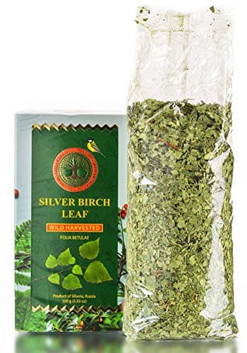 Siberian Silver Birch Leaf, Premium Quality, 3.53 OZ (100 Grams) – Herbal Silver Birch Leaf Tea (Folia Betulae)