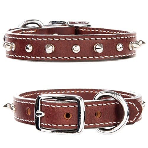 Pets Rock Single Spiked Dog Collar (Large)