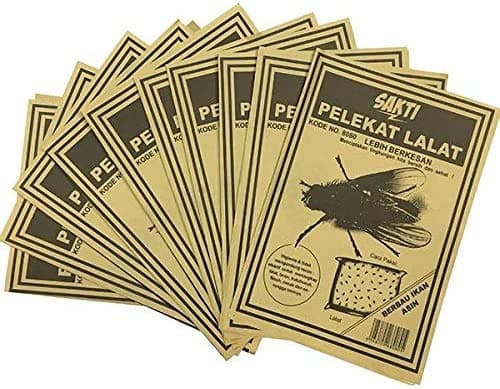 RAY Ray-King Sticky Traps Fly Sticker -10 Pieces