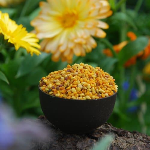 Aspermuehle Spanish Bee Pollen 1Kg