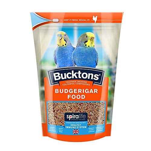Buckton Pouch Budgie, 500G