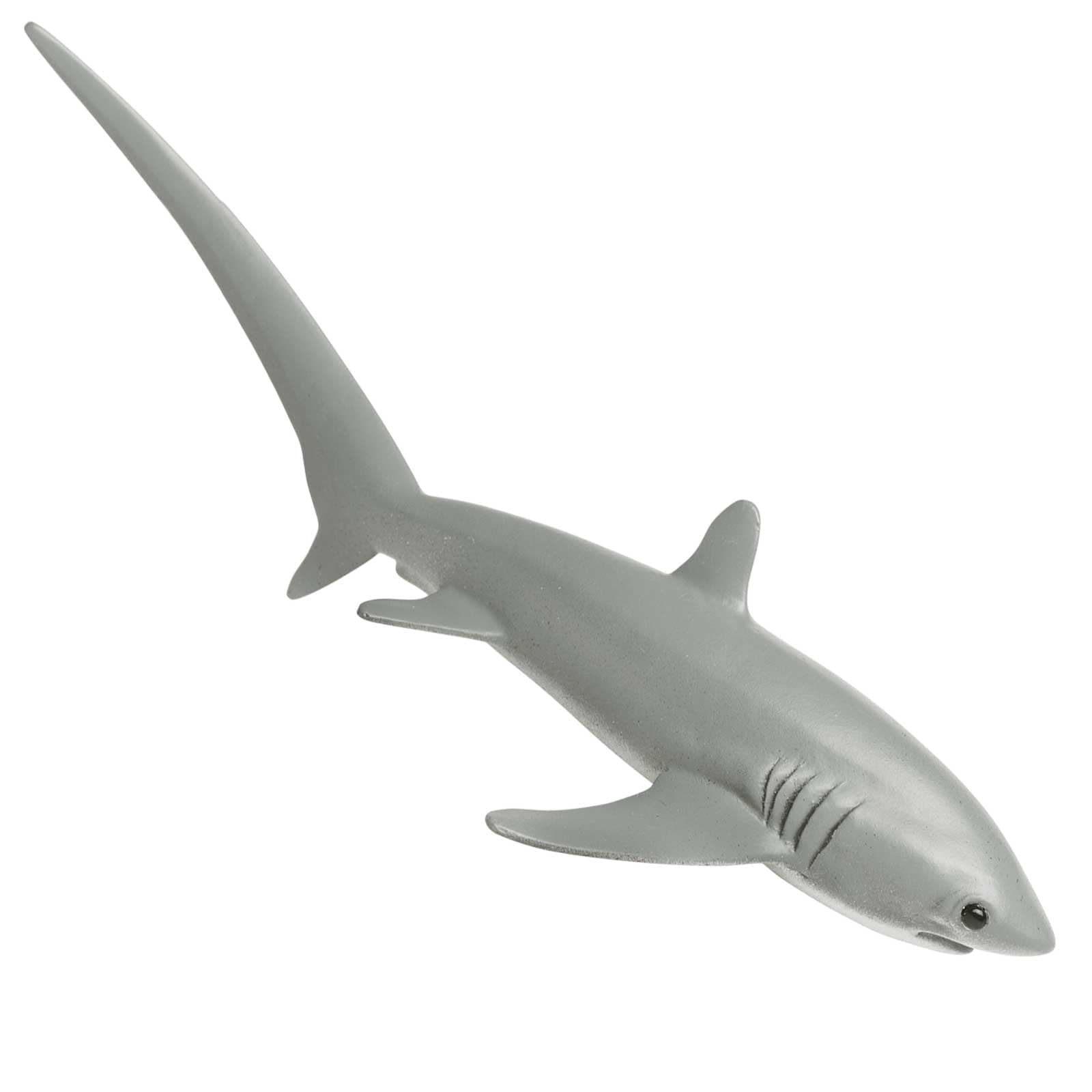 Safari S200229 Thresher Shark
