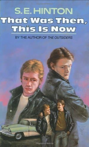 Hinton S.E. : That Was Then, This is Now by S E Hinton (1988-03-31)