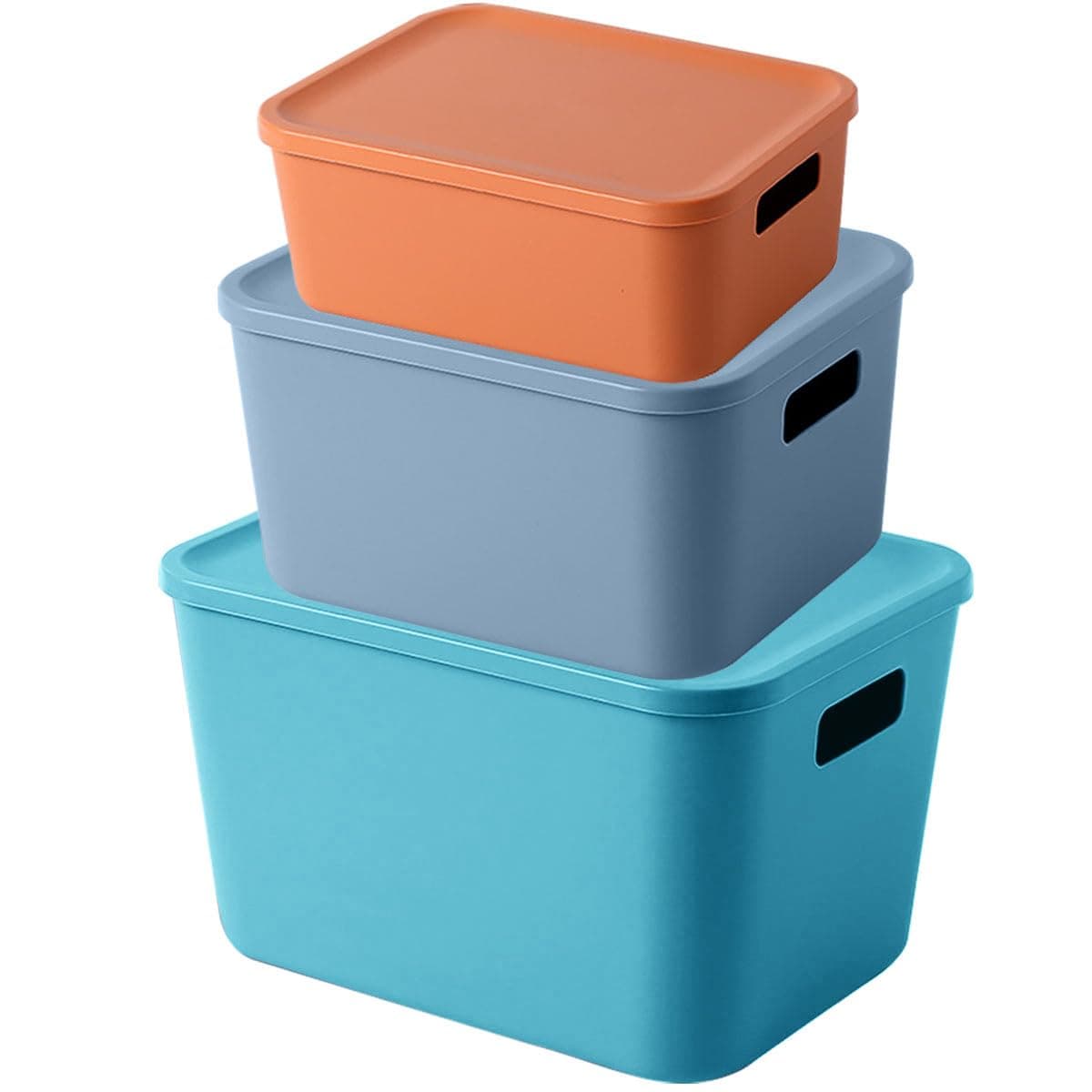 Storage Bins with Lids
