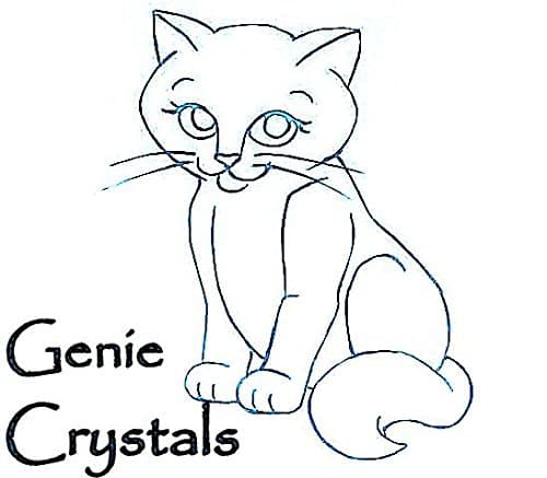 Genie Crystals Generic Washable Cat Litter Replacement Granules 10 lbs