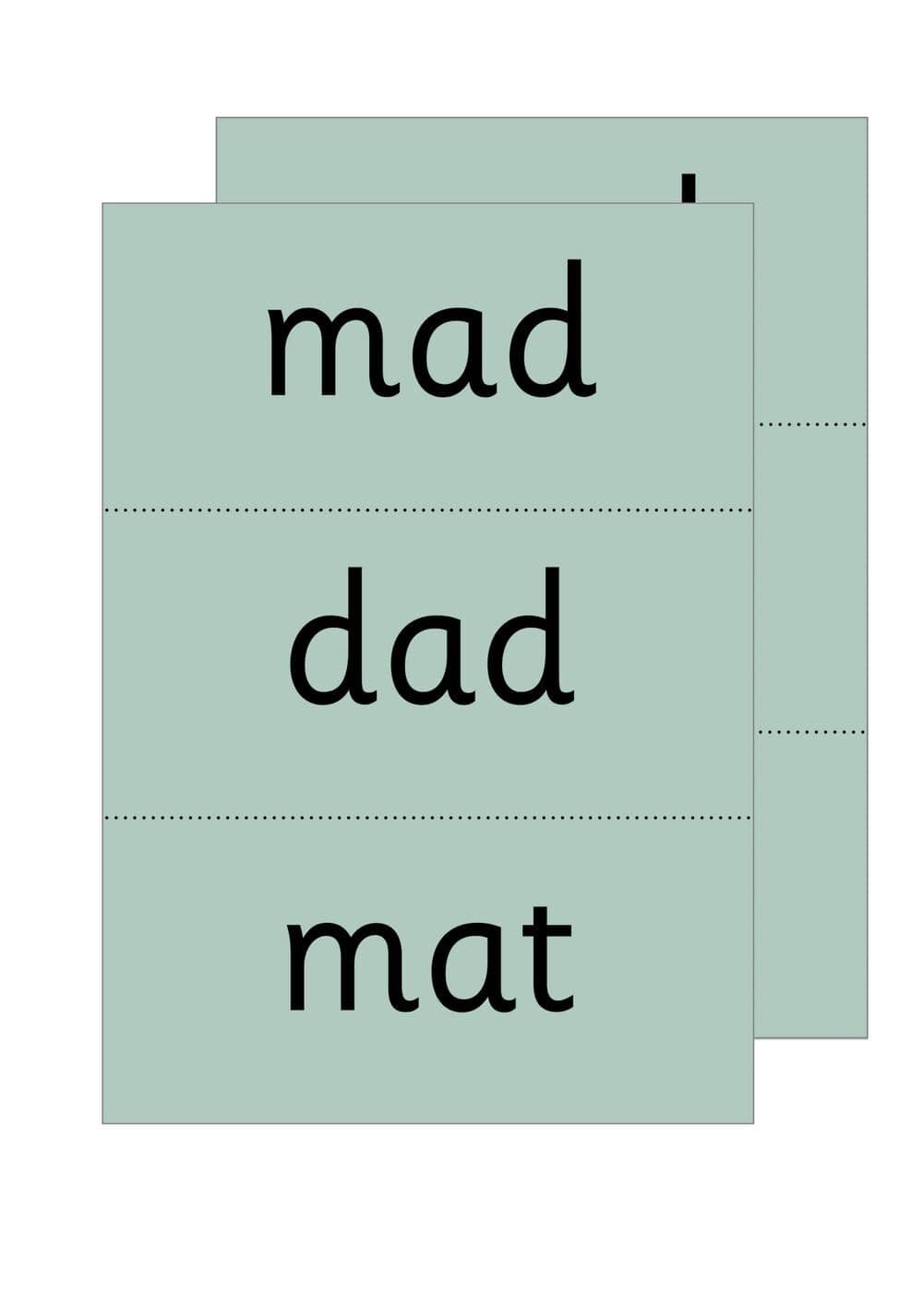 OXFORD UNIVERSITY PRESS Read Write Inc - Phonics Teaching Words Green Word Cards Single