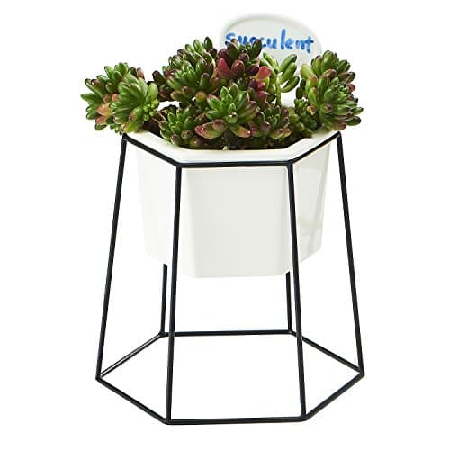 Planter Pot Indoor, Flowerplus 5 Inch White Ceramic Medium Succulent Cactus Flower Plant Hexagon Pots with Metal Stand Holder and Plants Sign for Indoors Outdoor Home Garden Kitchen Decor (Black)