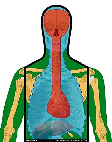 SKELETARGETS 22"x 28"- Anatomically Correct Competition Targets
