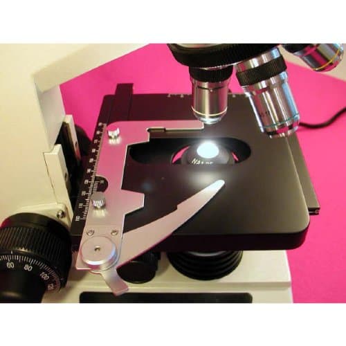 AmScope D200A Dual-View Compound Binocular Microscope, WF10x and WF16x Objectives, 40X-1600X Magnification, Brightfield, 1.25 NA Abbe Condenser, Mechanical Stage, Anti-Mold