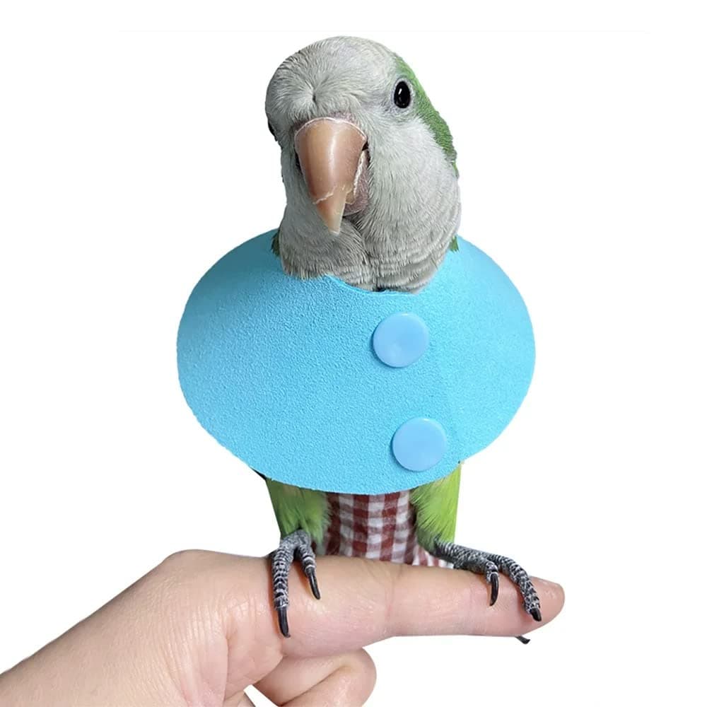 Parrot Neck Collar Pet Anti-bite Picking Feather Healing Protective Neck Cover Collar for Birds (S)