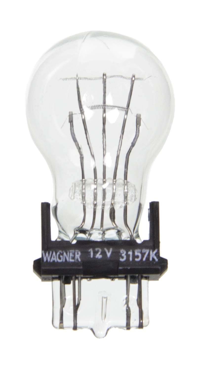 Wagner Lighting BP3157LL Long Life Multi-Purpose Light Bulb Card of 2
