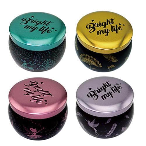 DIY Candle Making kit,Candle Tin,Small Empty Metal Jar Scented Candle Tins Container Red Flower Metal Jar Candy Storage case for Candle Making Beginner-4PCS