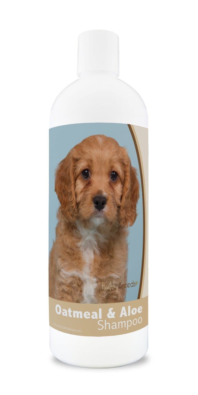 Healthy BreedsCavapoo Oatmeal Shampoo with Aloe 16 oz