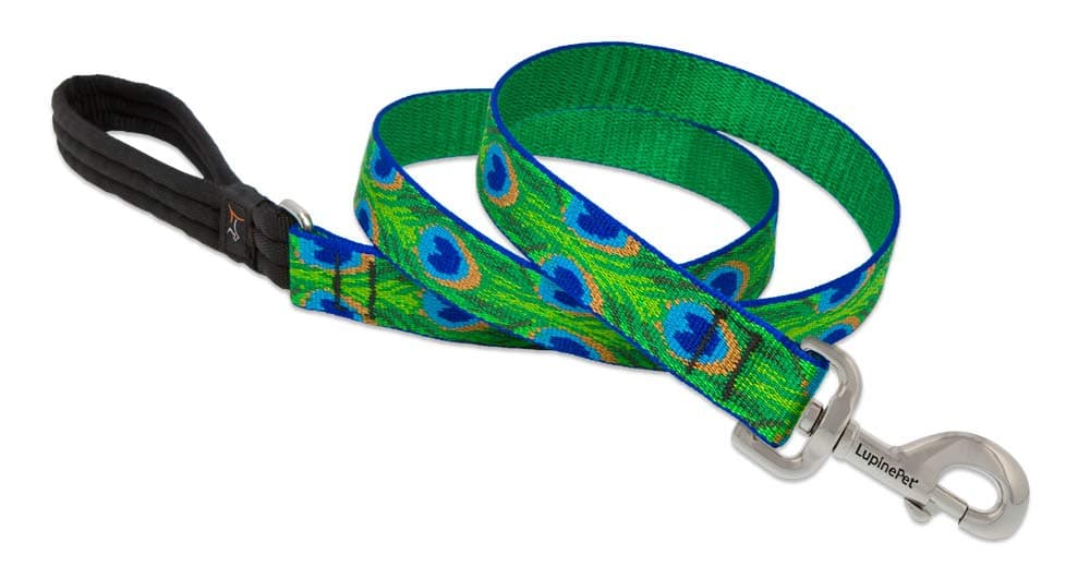 Tail Feathers Patterned Padded Handle Dog Lead, 1-inch/ 4 ft