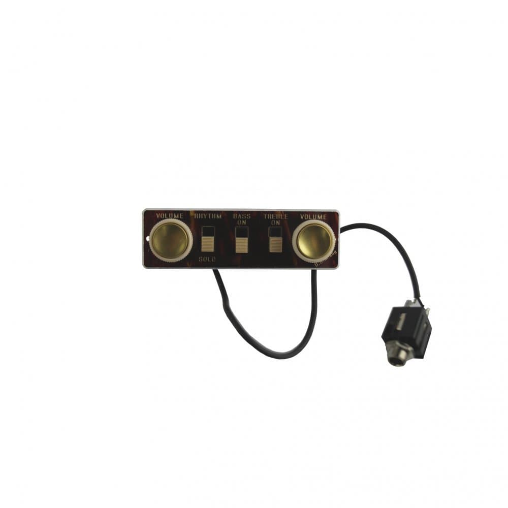 H_fner Spares - Bass Control Panel & Wired Jack Socket Tortoiseshell (HA2BTC)