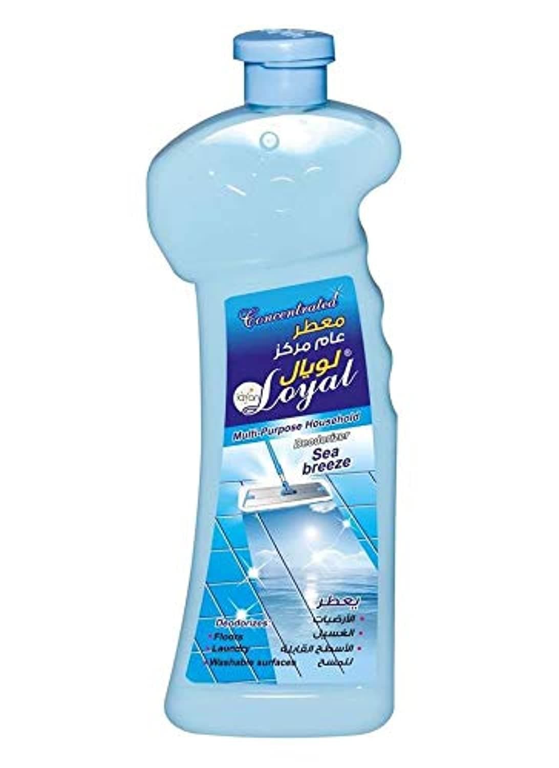 Loyal Multi-Purpose Household Deodorizer - Sea Breeze Blue - Keeps Freshness - Eliminates Bad Odors - 700 ml