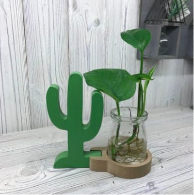 Presentoir Indoor Grow Tent – Cactus