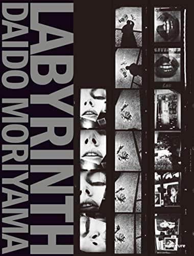 Labyrinth: Daido Moriyama Paperback – October 31, 2012