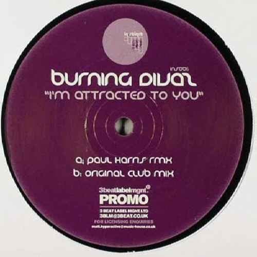 Im Attracted To You-12"