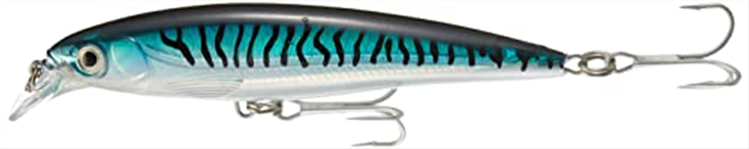Rapala X-Rap Saltwater Fishing Lure