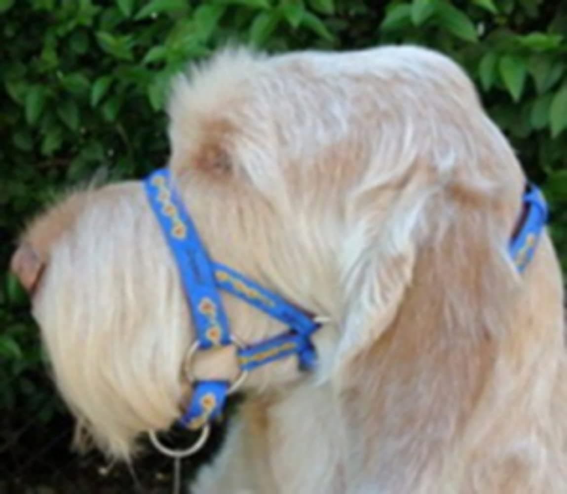 DOGMATIC HEADCOLLAR PADDED CUSHIONED WEBBING PCW - BLUE - SIZE 3