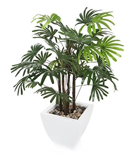 Closer to Nature Artificial 3ft Lady Palm Tree - Artificial Silk Plant and Tree Range