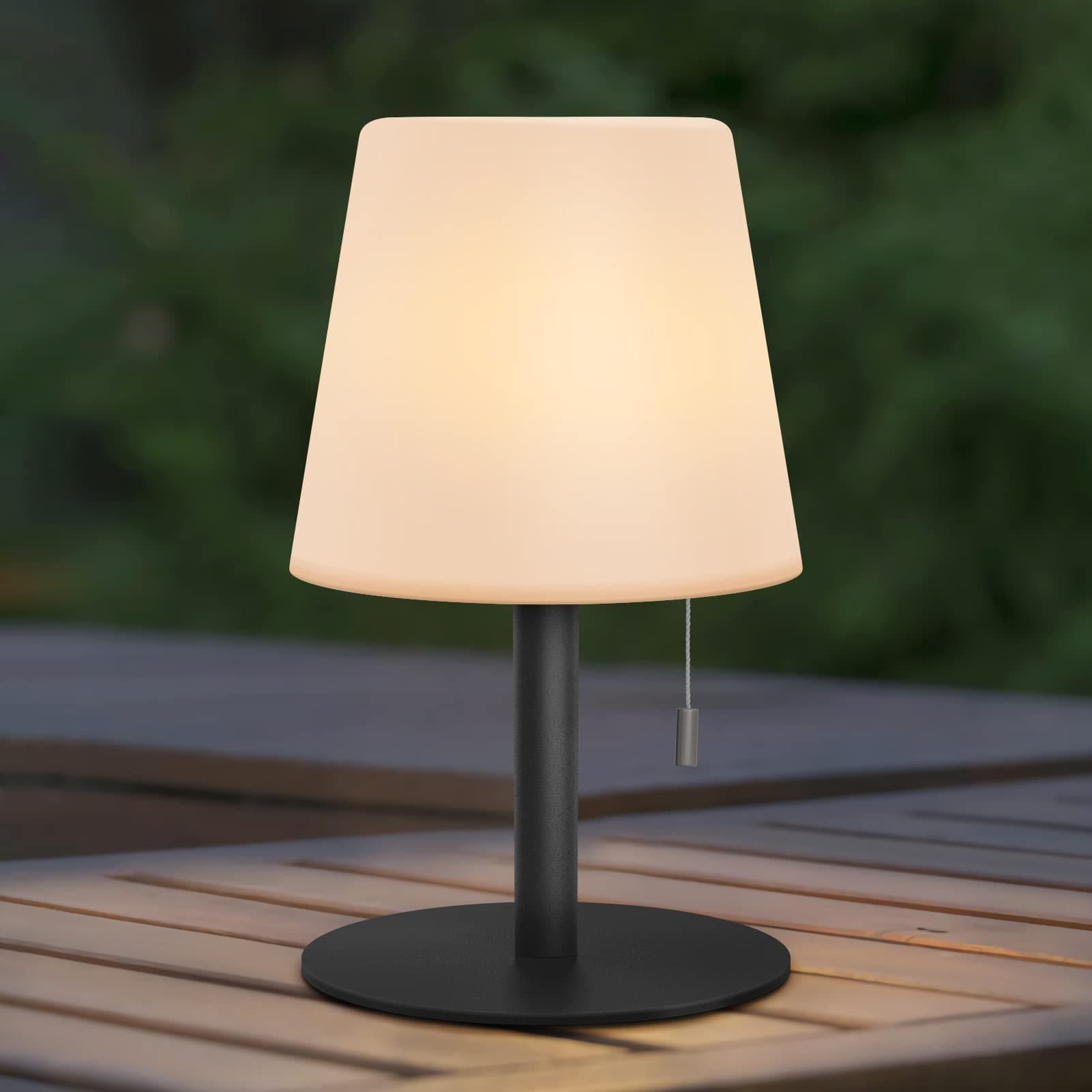 IROO Table Lamps for Outside Led Night Light with Warm White Color Changing Dimmable Bedside lamp Waterproof Ideal Decor Cordless for Your Home and Garden(Black)