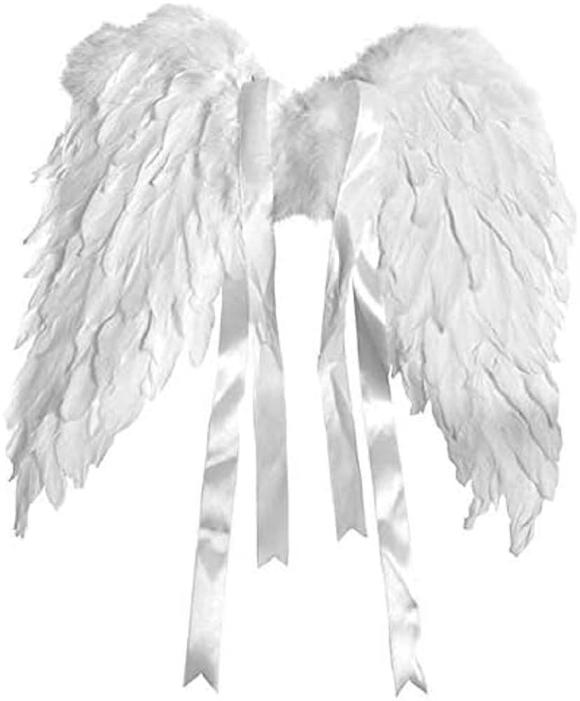 Angel Wings 50 x 40 cm