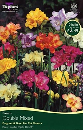 Mixed Double Freesia Bulbs x10