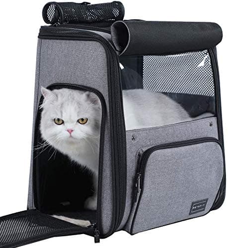 PetsfitSturdy Top Loading Pet Backpack Carrier for Cat and Small Dog up to 16 Pounds