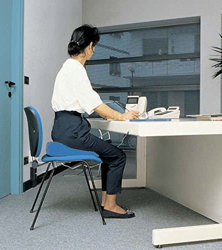 The Sensory University Movin' Sit Standard