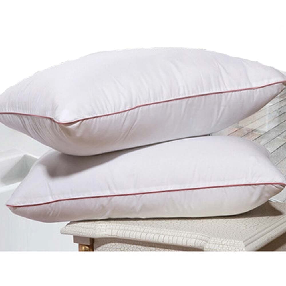 LYNZYM Pack of 2 Throw Pillow Inserts, Square Cushion Inner Soft Fluffy Plump Stuffer Cushion Pads White Decorative Pillow Inserts (14 Inch×22 Inch)