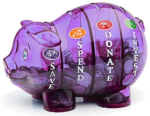 Money Savvy Pig - Purple