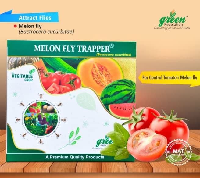 Foil Lined Laminate Field Fruit Fly Trap for Vegetables (Pack of 10 Nos; Yellow, Multi)