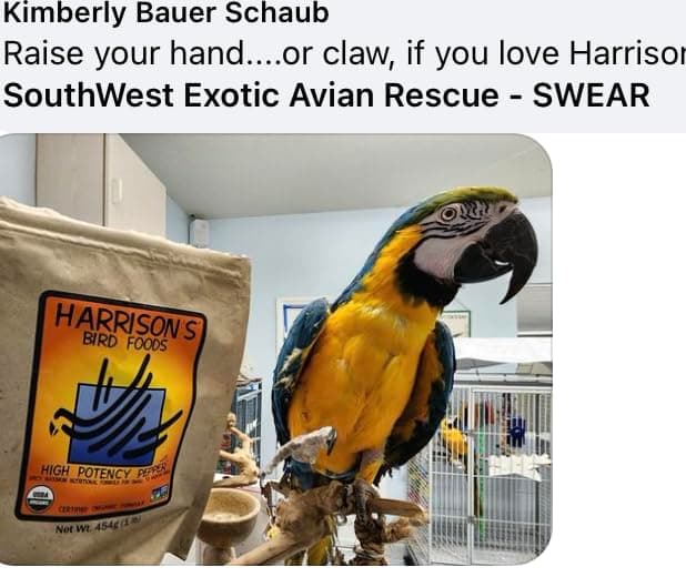 Harrison's Bird Foods High Potency Pepper—Maximum Nutritional Formula for Small to Medium Birds, Certified Organic Non-GMO Pet Bird Food, Vet-Developed, Suitable for All Life Stages, 454 g/ 1 lb