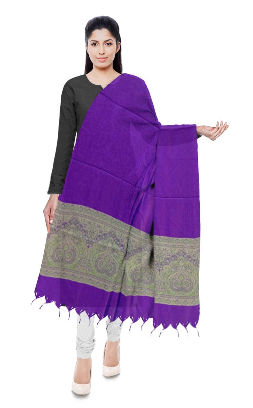 daksh cloth house Women's Stole (Blue)