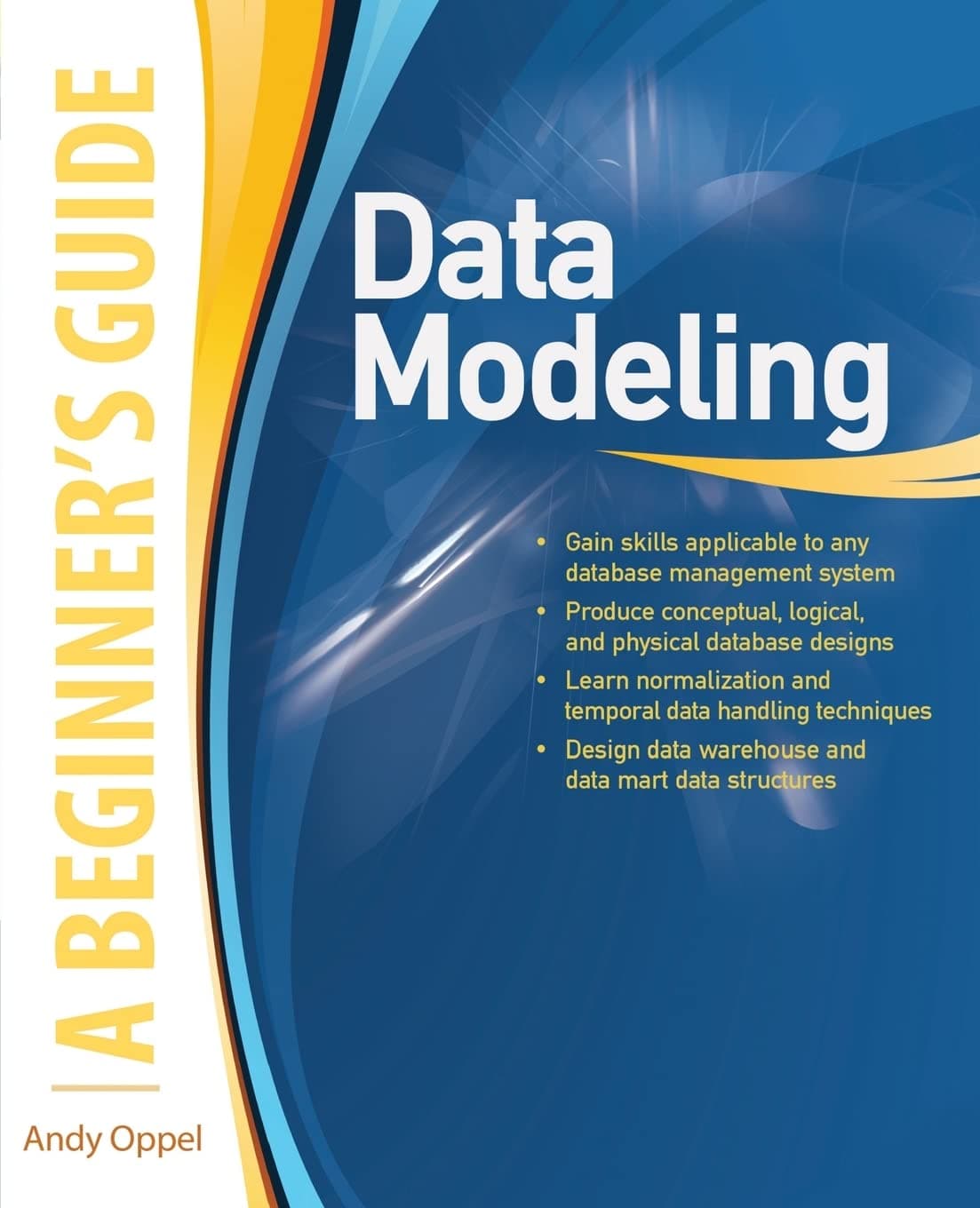 Data Modeling: A Beginner's Guide 1st Edition