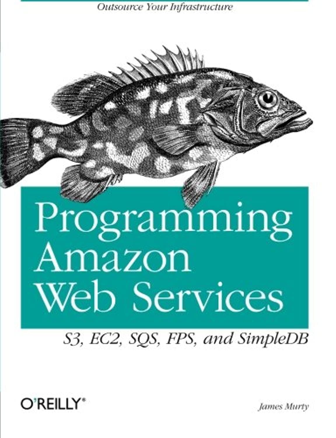 Programming Amazon Web Services: S3, EC2, SQS, FPS, and SimpleDB