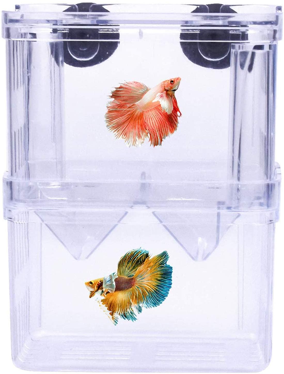 Beibi Fish Breeding Box, Multi Functional Acrylic Double Layer Fish Isolation Box, Transparent Breeding Tank For Aquarium Tank Fish Parenting Container Divider, with Suction Cups